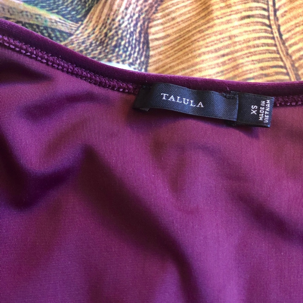 Aritzia Talula Velvet Long Sleeve Crop Top - Picture 4 of 8